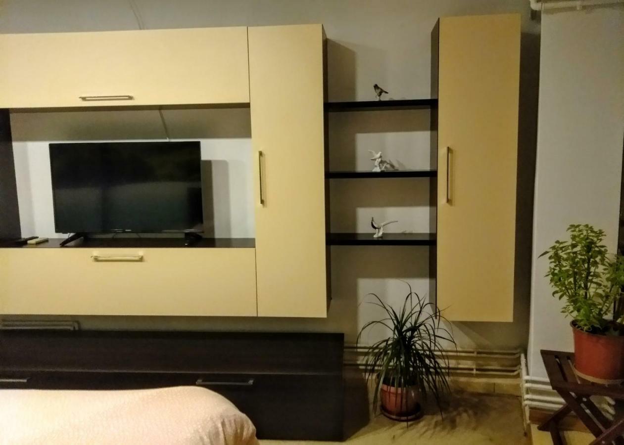Apartment Cozy Downtown Oasis Bucharest