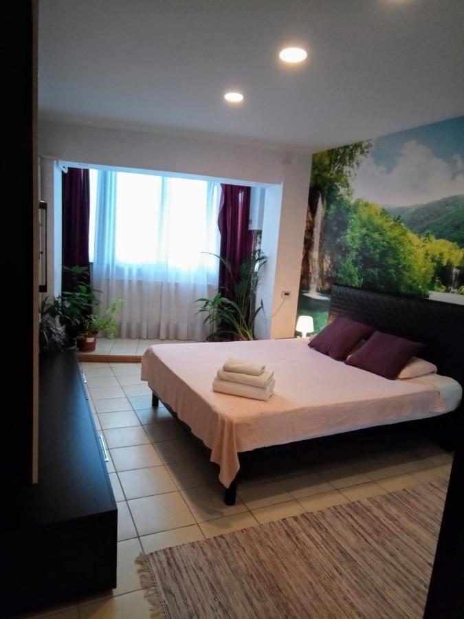 Cozy Downtown Oasis Apartment