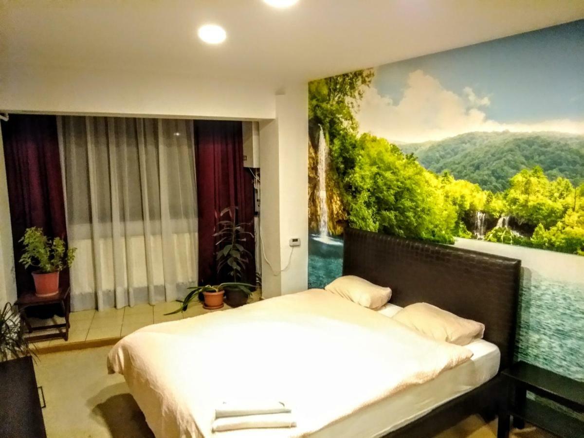 Cozy Downtown Oasis * 布加勒斯特