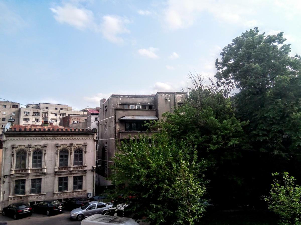 Cozy Downtown Oasis 公寓 布加勒斯特