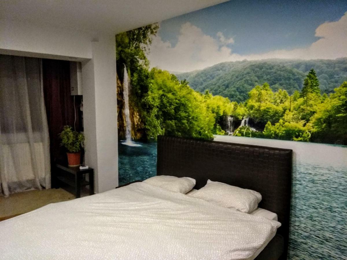 Cozy Downtown Oasis 布加勒斯特