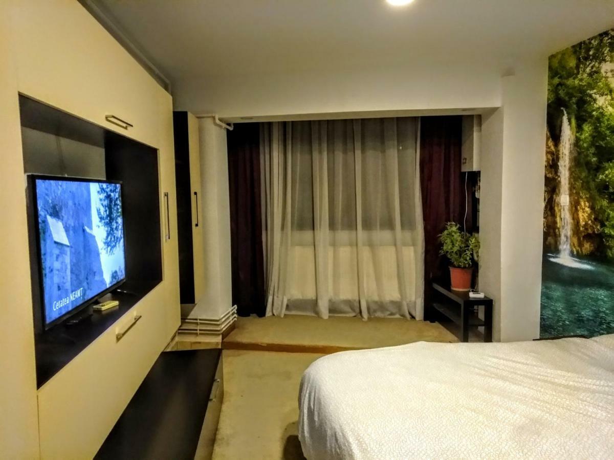 Cozy Downtown Oasis 布加勒斯特
