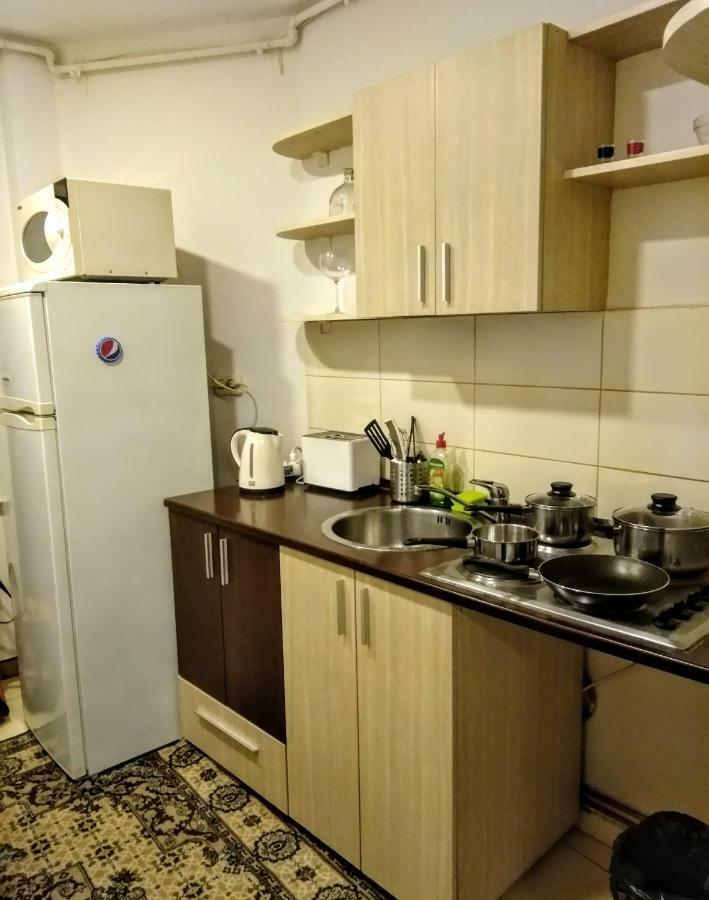 Cozy Downtown Oasis 公寓 布加勒斯特