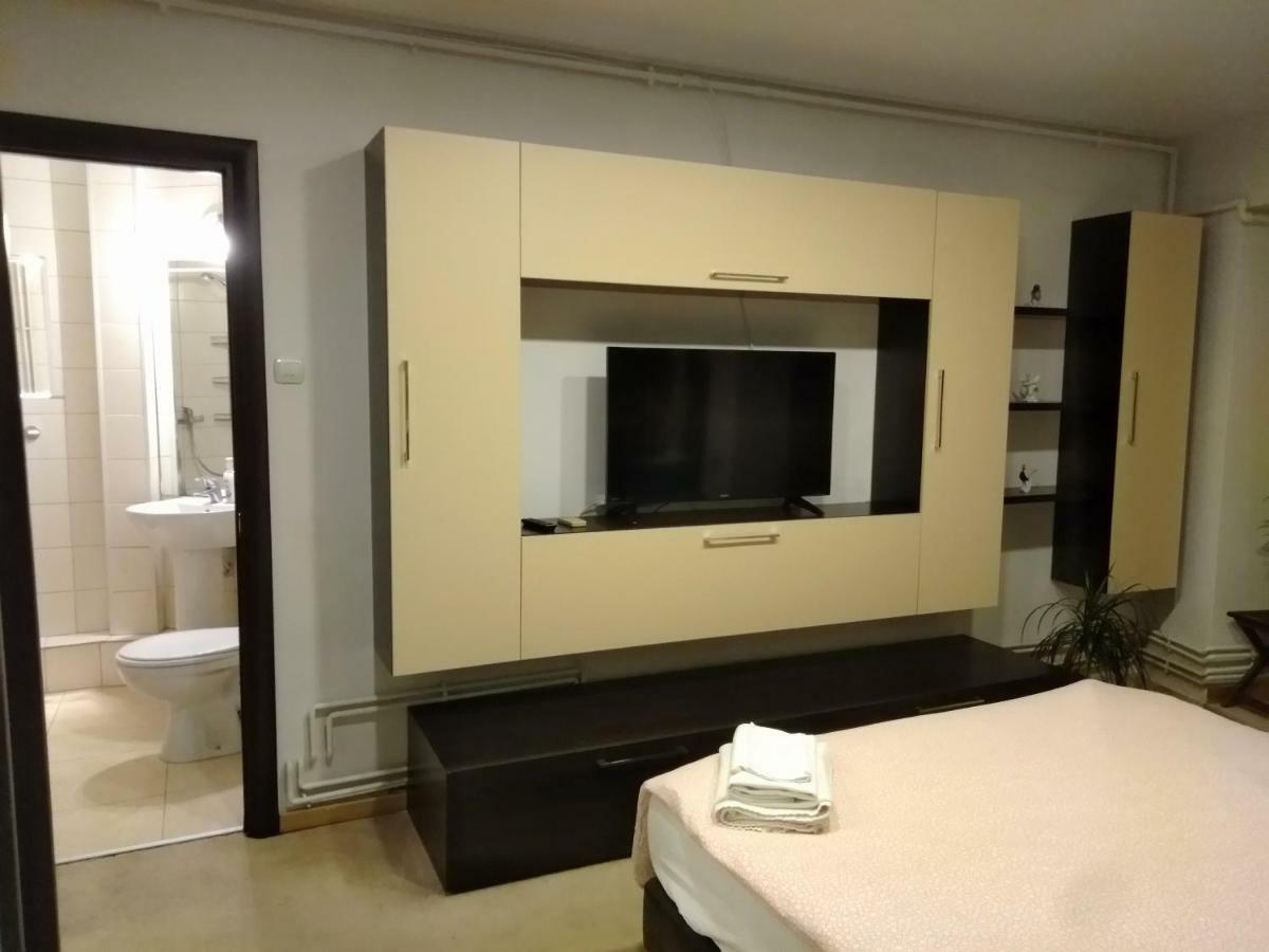 公寓 Cozy Downtown Oasis 布加勒斯特