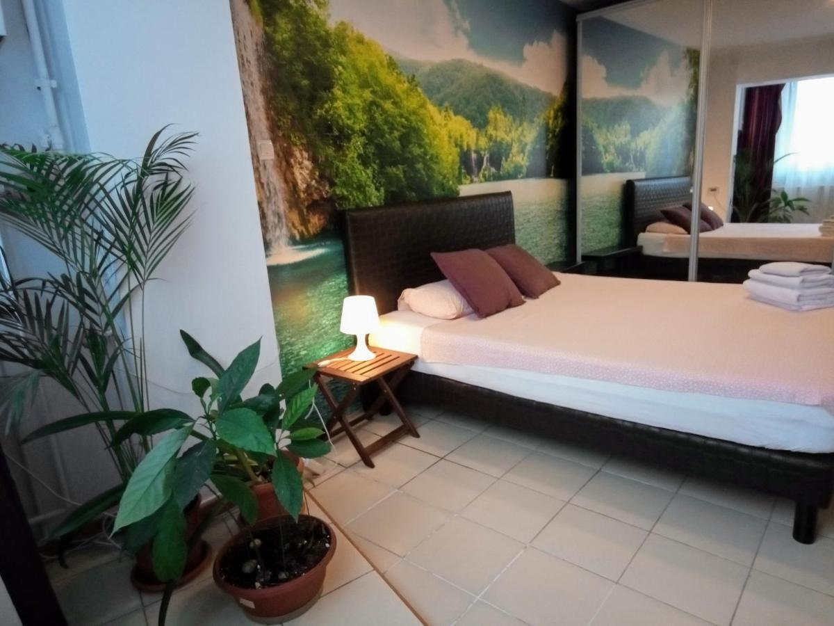 Cozy Downtown Oasis 公寓 *
