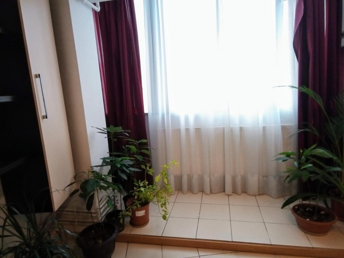 公寓 Cozy Downtown Oasis 布加勒斯特