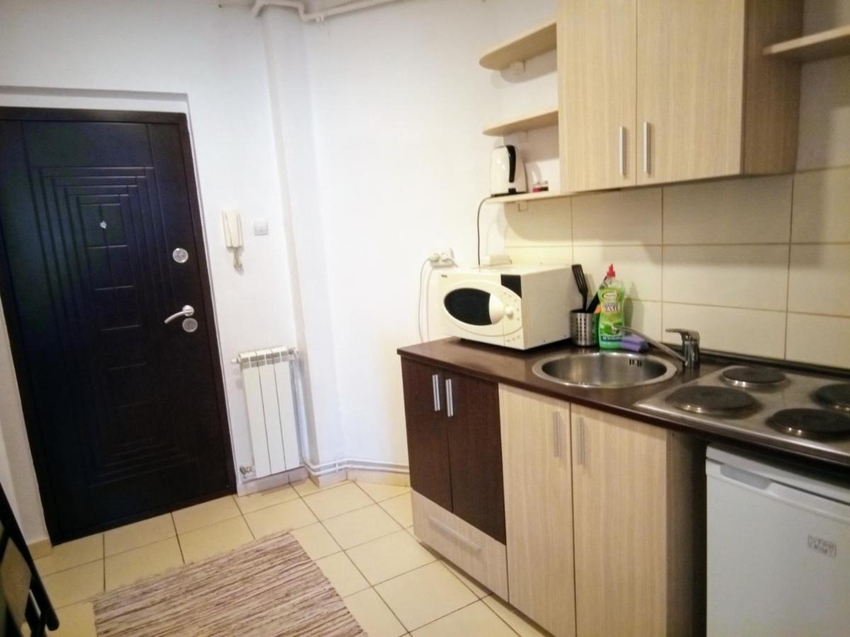 公寓 Cozy Downtown Oasis 布加勒斯特