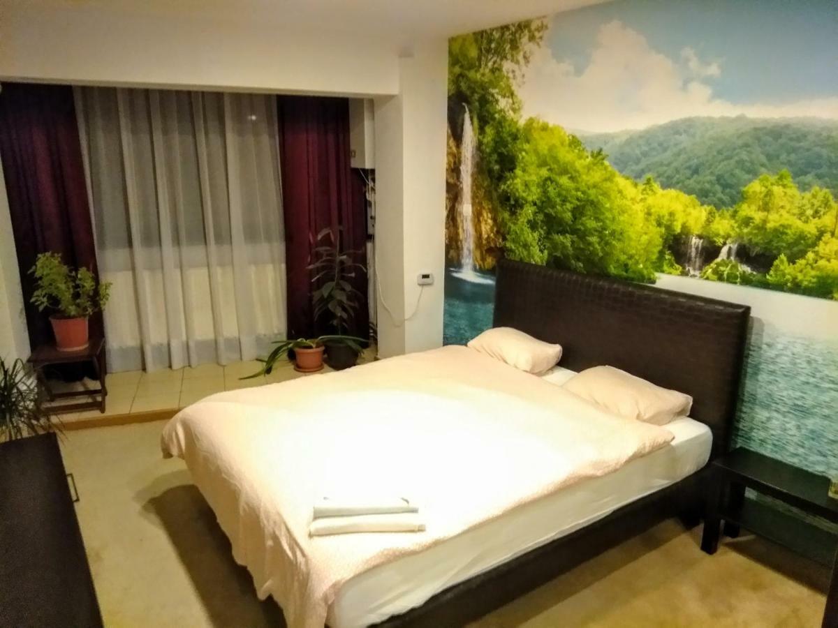 Cozy Downtown Oasis Apartamento *